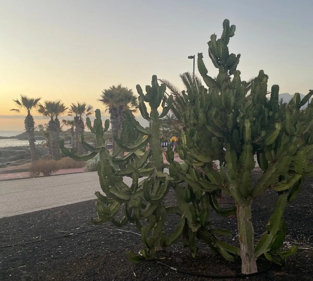Basalto House 1 Tenerife South Tejina de Isora بيت للعطل